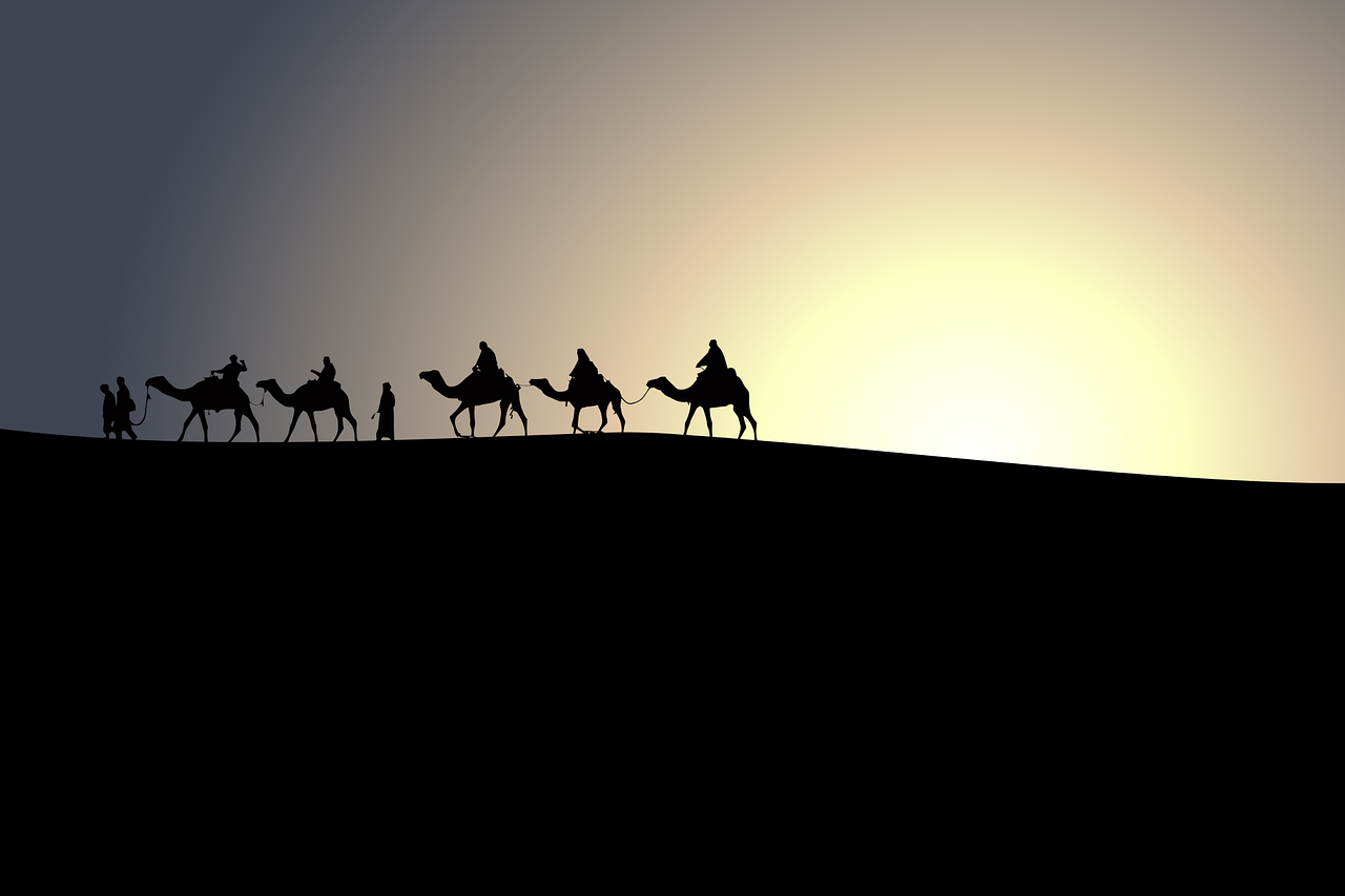 Discover Egypt Tours